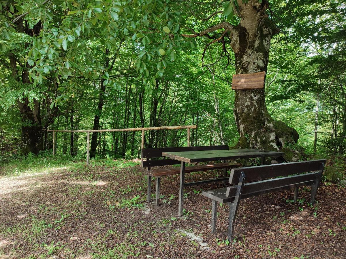 Holiday Home "Sleme" With Jacuzzi, Big Garden And Arbor With Fireplace Skrad Exterior foto